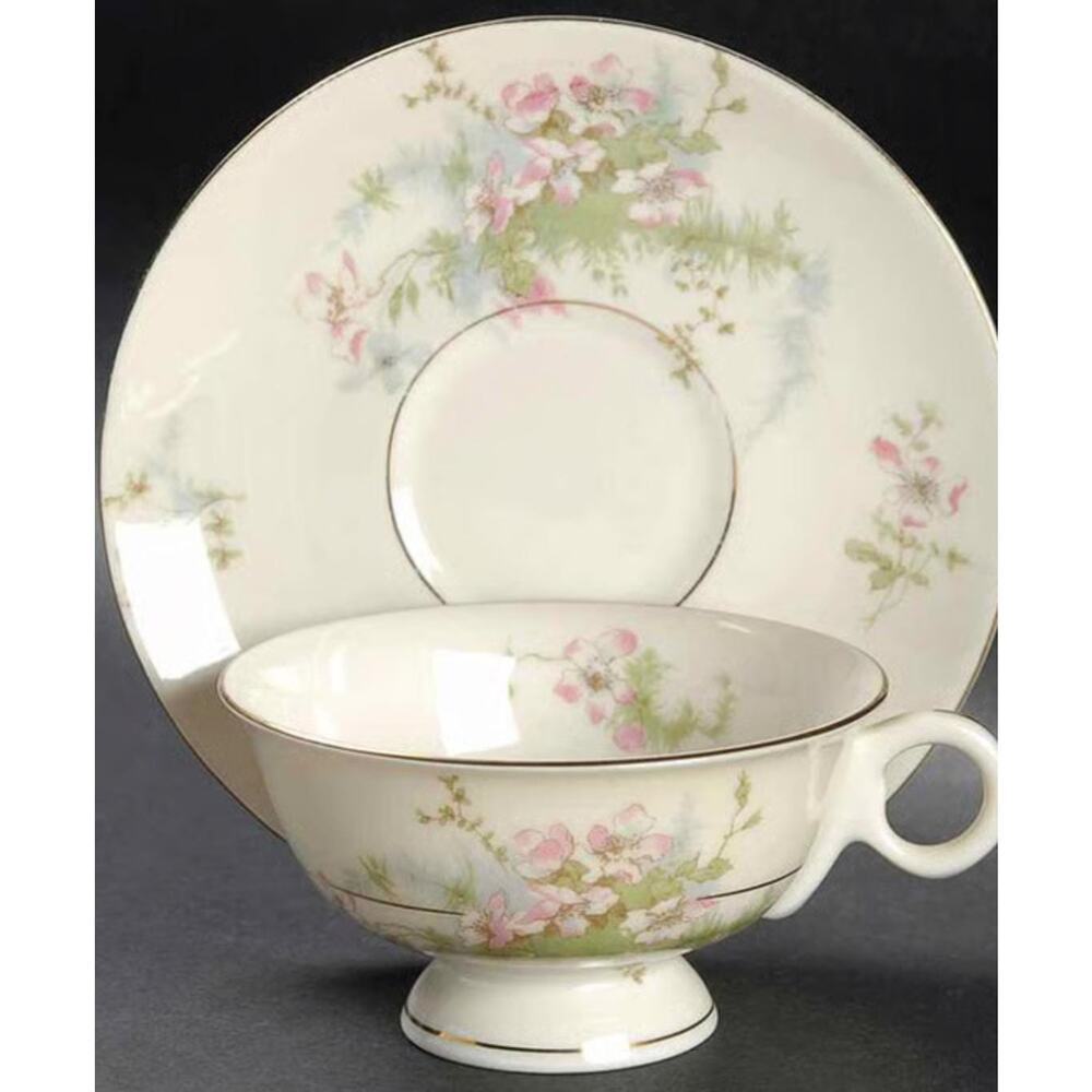 Vintage Theodore Haviland New York Tea‎ Cup And Saucer "Apple Blossom" USA
